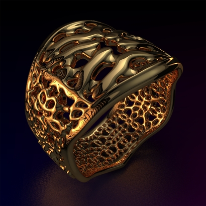 PAf_Ring_d17_sPE202s1cPE14s2a10m6M14T1FR041-wax