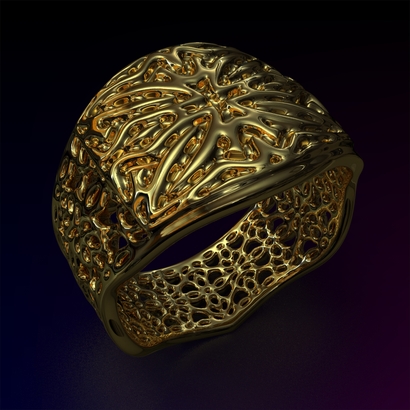 PAHb_Ring_d19_sPE22is2caPE33s2a10m6M14T1FR041-wax