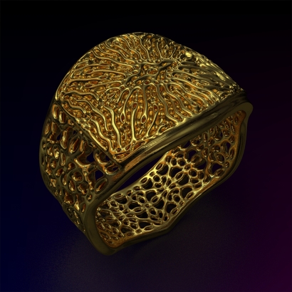 PAHb_Ring_d19_sPE22is2caPE63s2a10m6M14T1FR041-wax