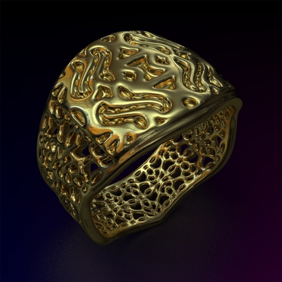 PAHb_Ring_d19_sPE22is2caPE23s1a10m6M14T1FR041-wax