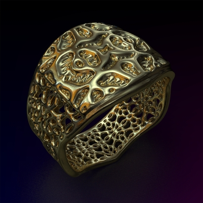 PAHb_Ring_d19_sPE22is2caPE881s2a10m6M14T1FR041-wax