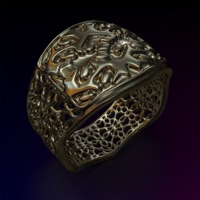 PAHb_Ring_d19_sPE22is2caPE51s2a10m6M14T1FR041-wax