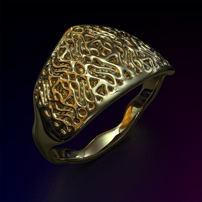 PAWs_Ring_d16_PE23s1U105a10m2M11T1FR023-wax