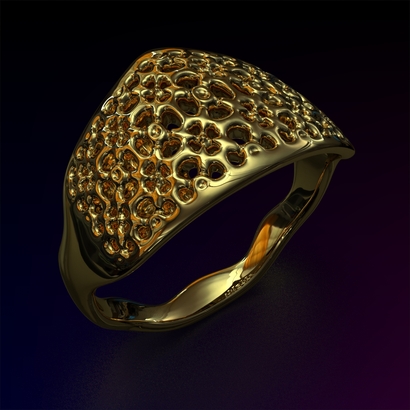 PAWp_Ring_d16_SE581U105a10m2M11T1FR023-wax