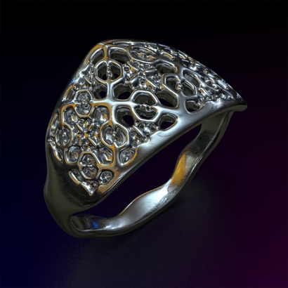 PAWp_Ring_d16_SE641U105a10m2M11T1FR023-wax