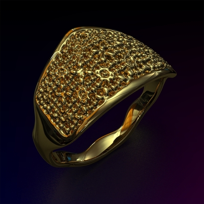 PAWs_Ring_d16_SE75U105a10m2M11T1FR023-wax