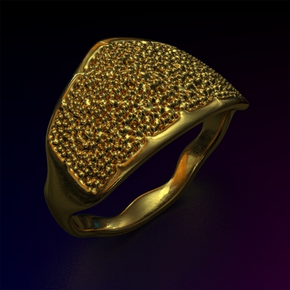 PAWs_Ring_d16_SE68U105a10m2M11T1FR023-wax