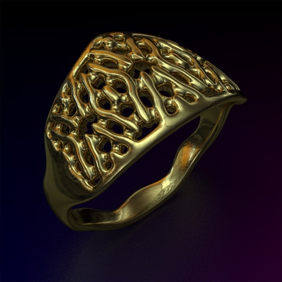PAW_Ring_d16_PE14s1U105a10m2M11T1FR023-wax