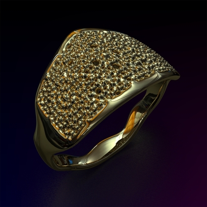 PAWp_Ring_d16_SE68U105a10m2M11T1FR023-wax