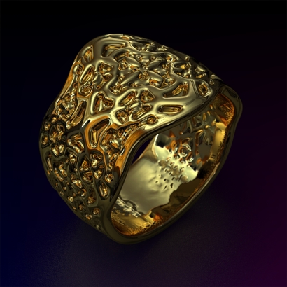 PAs_Ring_d16_SE642a10m7M12T1FR071-wax