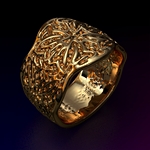 /media/picture/thumb/2014/11/14/UFYI/my_jewelry-office_size_410..jpg