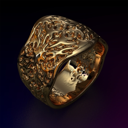 PAs_Ring_d16_SE83a10m7M12T1FR071-wax