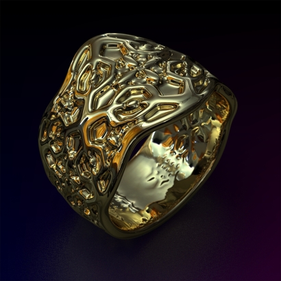 PAs_Ring_d16_SE641a10m7M12T1FR071-wax