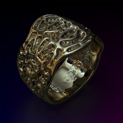 PAs_Ring_d16_PE881s2s1a10m7M12T1FR071-wax