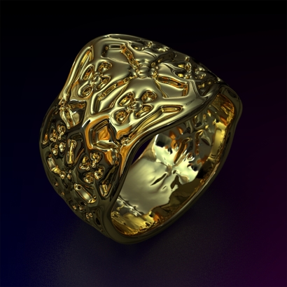 PAs_Ring_d16_SE62a10m7M12T1FR071-wax