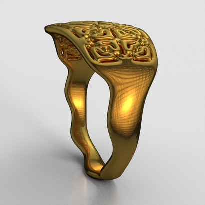 PAW_Ring_d16_SE84bU105a10m2M11T1FR023-wax