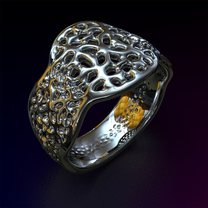 PASp_Ring_d16_PE89s2s1a10m4M10T1FR071-wax