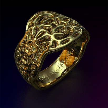 PASp_Ring_d16_PE881s2s1a10m4M10T1FR071-wax