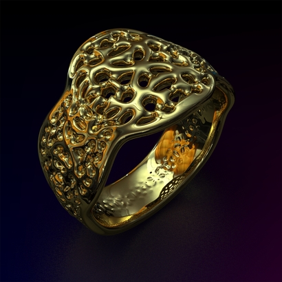 PASp_Ring_d16_PE89s1s2a10m4M10T1FR071-wax