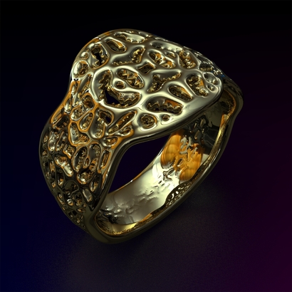 PASp_Ring_d16_PE881s1s2a10m4M10T1FR071-wax