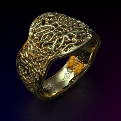 PASp_Ring_d16_PE33s1s2a10m4M10T1FR071-wax