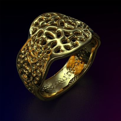 PASp_Ring_d16_PE89s1a10m4M10T1FR071-wax