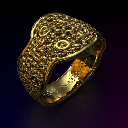 PASp_Ring_d16_SE76a10m4M10T1FR071-wax