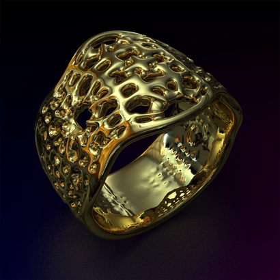 PASp_Ring_d16_SE87a10m7M12T1FR071-wax