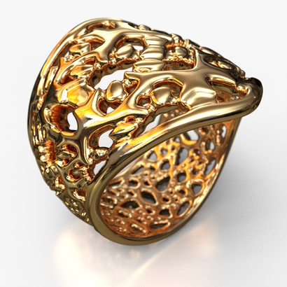 PA_Ring_d16_PE51s2A15m8M17T1FR038-X-wax