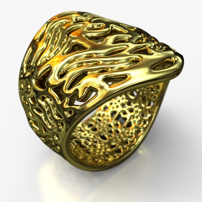 PA_Ring_d16_PE23s1s2A15m8M17T1FR038-X-wax