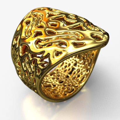 PA_Ring_d16_PE23s2s1A15m8M17T1FR038-X-wax