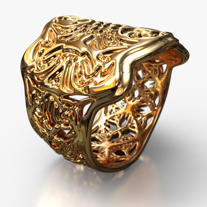 PAHb_Ring_d16_sSE69caE311is1a10m8M16FR011-wax