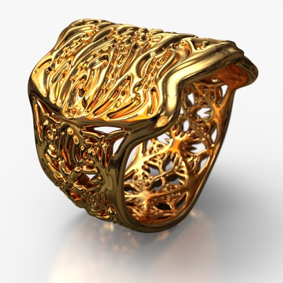 PAHb_Ring_d16_sSE69caE311is2a10m8M16FR011-wax