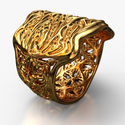 PAHb_Ring_d16_sSE691caE311is2a10m8M16FR011-wax