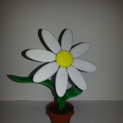 FlowerKit-Daisy