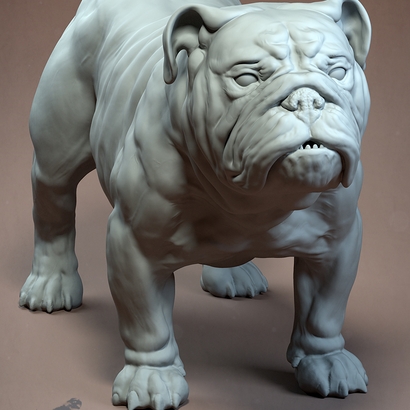 Bulldog Anglais