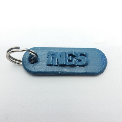 INES 3d keychain