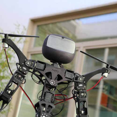 Poppy drone