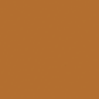 Painted Neon Orange