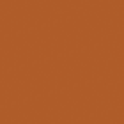 Painted Orange