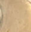 Découpe et gravure laser sur acrylique de couleur