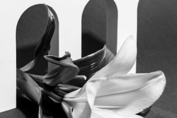 black white flower