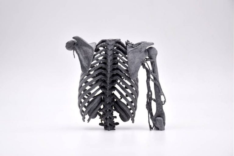 Slicer 3D Print Sculpteo