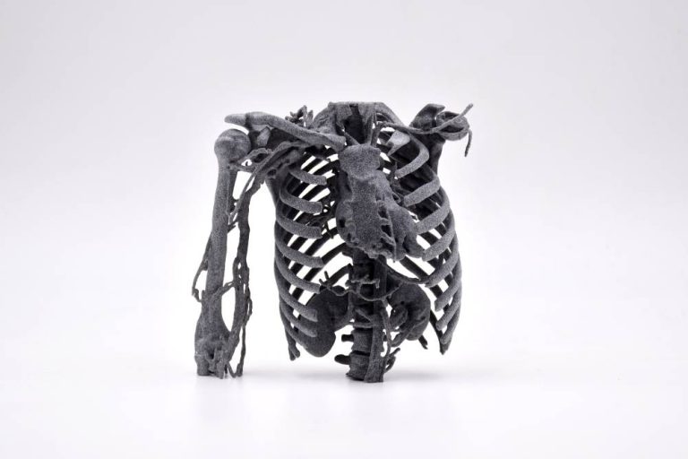 Slicer 3D Print Sculpteo
