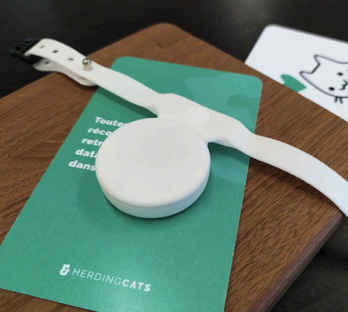Herding cats collier