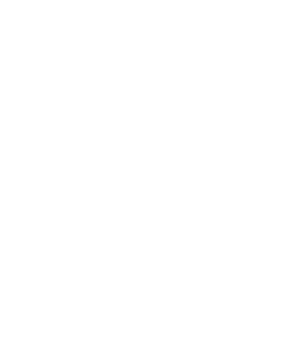 Logo Blackfoot White