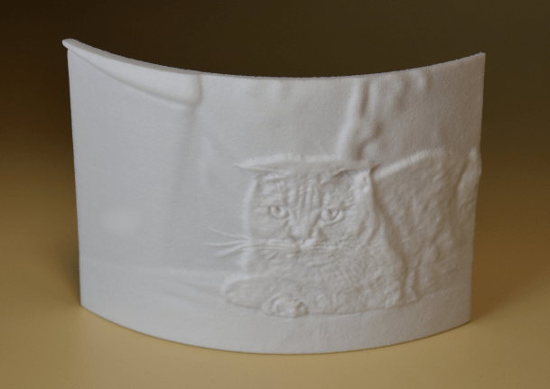 Cat lithophane picture