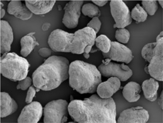 Regular PA12 microscopic view